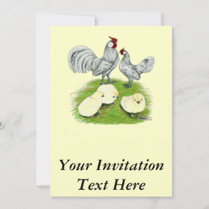 Rosecomb Bantams and Chicks Einladung
