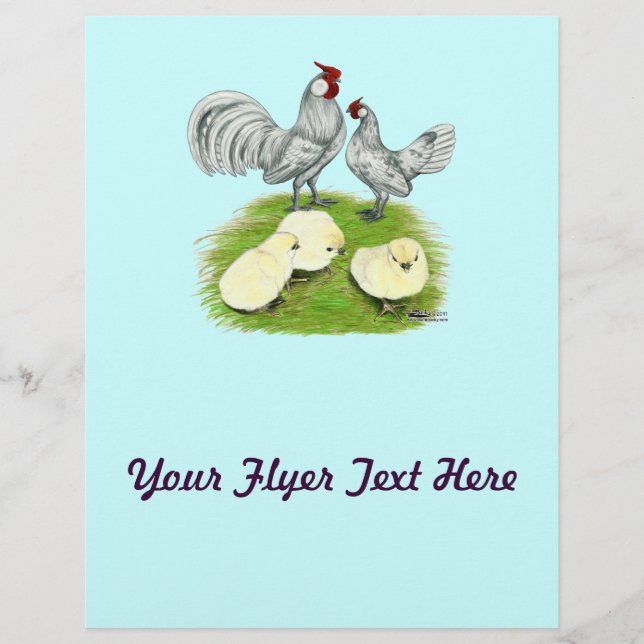 Rosecomb Bantams and Chicks Flyer (Vorne)