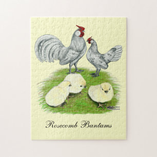 Rosecomb Bantams and Chicks Puzzle