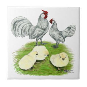 Rosecomb Bantams und Chips Fliese