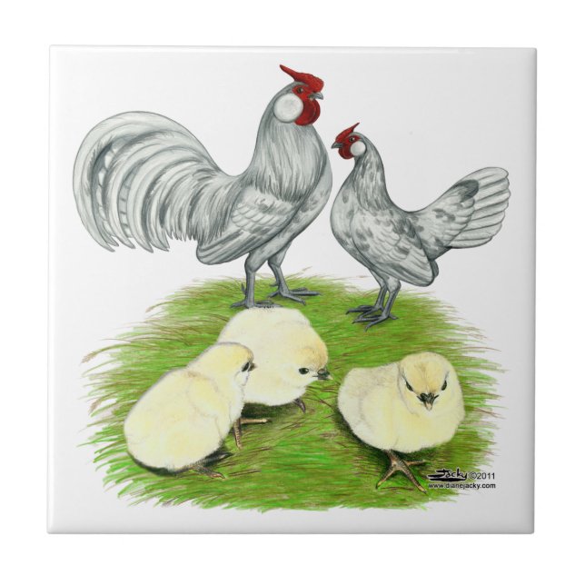 Rosecomb Bantams und Chips Fliese (Vorderseite)