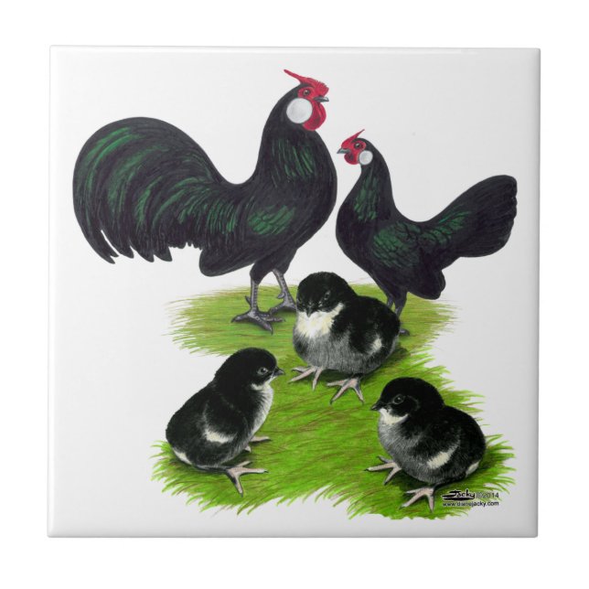 Rosecomb Black Bantam Family Fliese (Vorderseite)