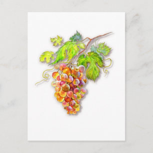 Roségoldene Trauben – Botanische Aquarellmalerei Postkarte