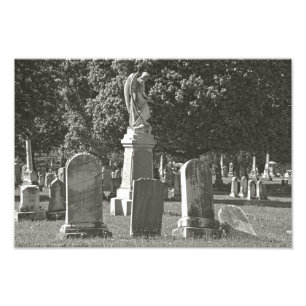 Rosehill III Fotodruck