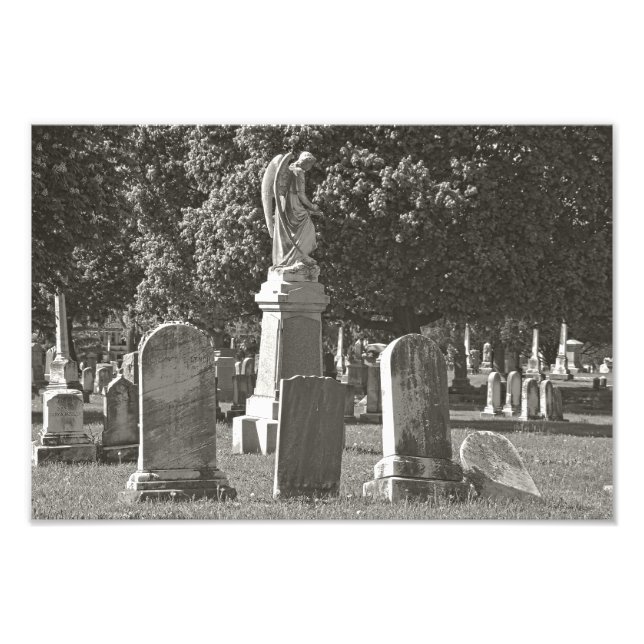 Rosehill III Fotodruck (Vorne)