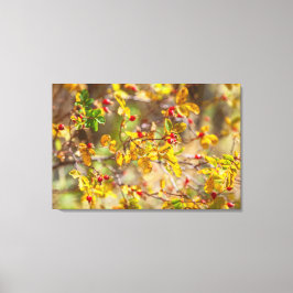 Rosehip Herbst Leinwanddruck