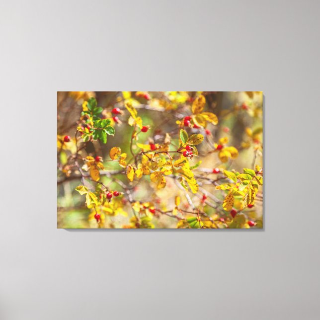 Rosehip Herbst Leinwanddruck (Vorderseite)
