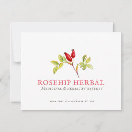 Rosehip Kräuterpflanze drei Arzneimittel