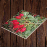 Rosehips botanical fliese<br><div class="desc">Botanisches Thema,  Keramik Fliesen,  die ein Foto von hellen,  roten Rosehips,  die Frucht von verschiedenen Rose Pflanze. Ein schönes,  blumengeschmücktes Design! Wählen Sie Ihre Kachelgröße aus. Eine tolle Küche trivet!</div>