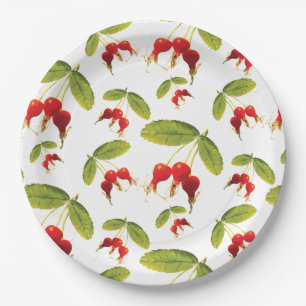 Rosehips Muster 4 Winkel Pappteller