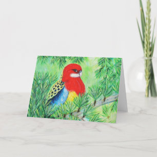 Rosella Bird Painting Karte