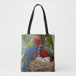 Rosella Birds
