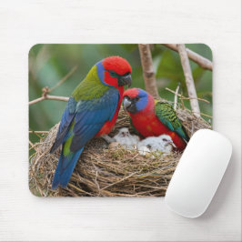 Rosella Birds Mousepad