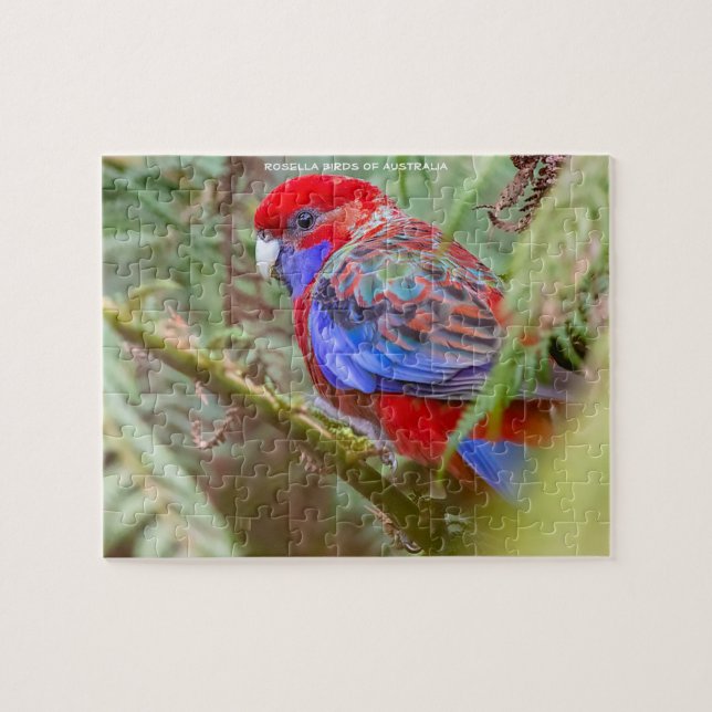 Rosella Birds of Australia Puzzle (Horizontal)