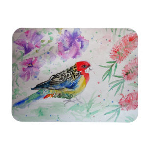 Rosella Parrot mit Bottlebrush Bird Birthday Magnet