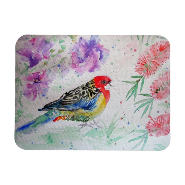 Rosella Parrot mit Bottlebrush Bird Birthday Magnet (Horizontal)