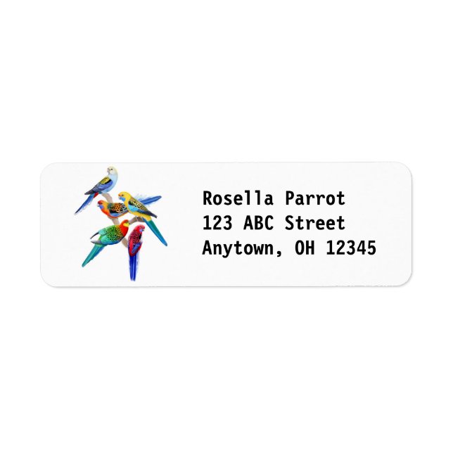 Rosella Parrots (Vorne)