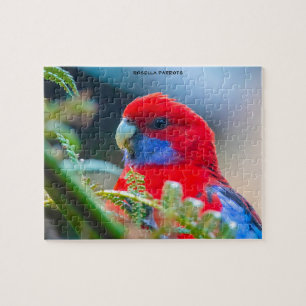 Rosella Parrots Australien Puzzle