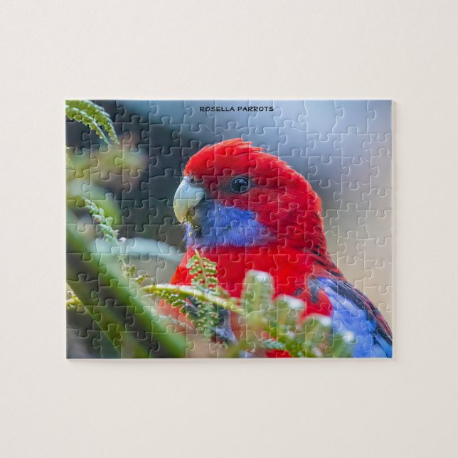 Rosella Parrots Australien Puzzle (Horizontal)