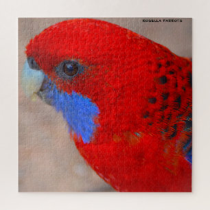 Rosella Parrots Australien Puzzle