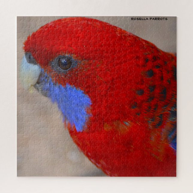 Rosella Parrots Australien Puzzle (Vertikal)