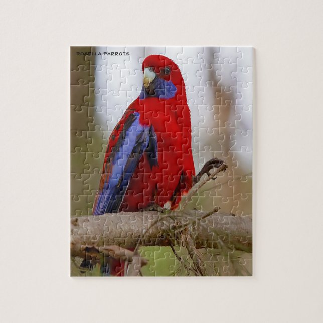 Rosella Parrots Australien Puzzle (Vertikal)