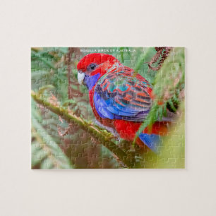 Rosella-Vögel Australiens Puzzle
