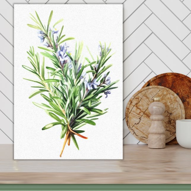 Rosemary Fresh Herb Watercolor Kunst, Dichtung und Leinwanddruck (Printed Canvas Bright Green Watercolor Rosemary on White with lavender blooms kitchen art)
