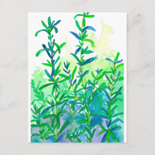 Rosemary Herb Blau Postkarte