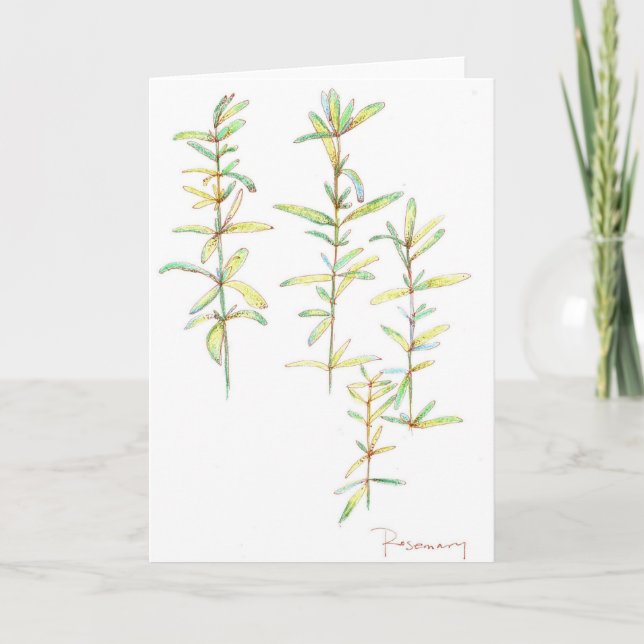 Rosemary Herb Botanical Zeichn Blank Note Card Karte (Vorderseite)