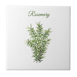 Rosemary Herb Grüne Küche Kulinarisches Grün Fliese