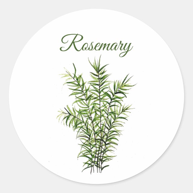 Rosemary Herb Grüne Küche Kulinarisches Grün Runder Aufkleber (Vorderseite)