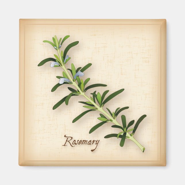 Rosemary Herb Magnet (Vorne)