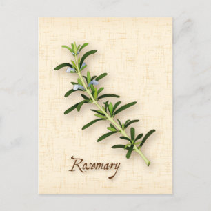 Rosemary Herb Postcard anpassen Postkarte