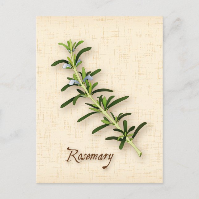 Rosemary Herb Postcard anpassen Postkarte (Vorderseite)
