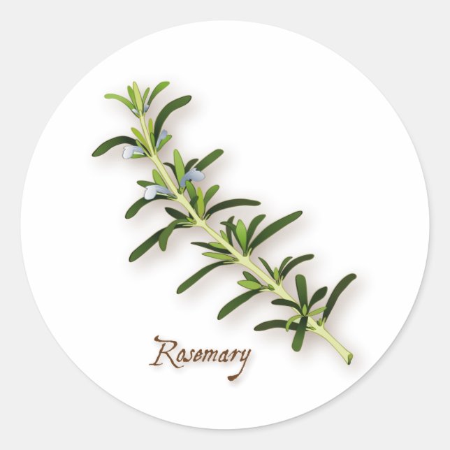 Rosemary Herb Round Stickers (Vorderseite)