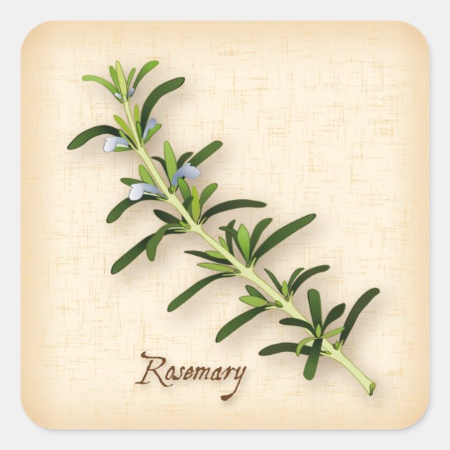 Rosemary Herb Square Sticker (Vorderseite)