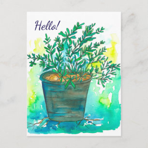 Rosemary Herb Watercolor Hello Postkarte