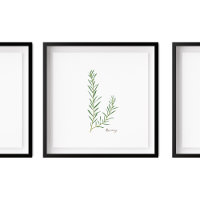 Rosemary Illustration | Herbs Kitchen Wall Art