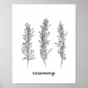 Rosemary Illustration Print Poster