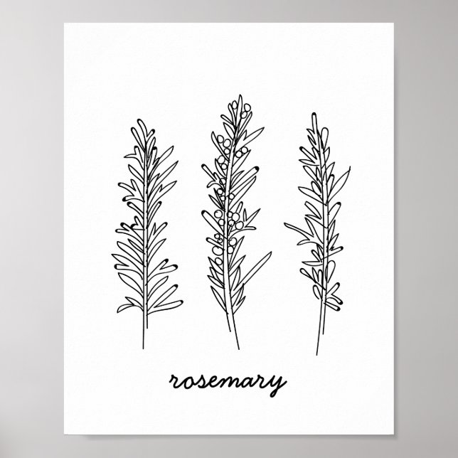 Rosemary Illustration Print Poster (Vorne)