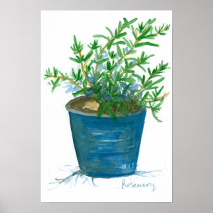 Rosemary Kitchen Herb Pflanze Aquarellmalerei Poster