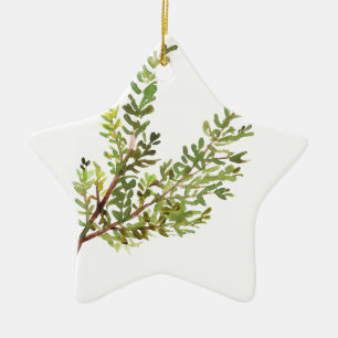 Rosemary Kraut Watercolor grüne botanische Pflanze Keramik Ornament