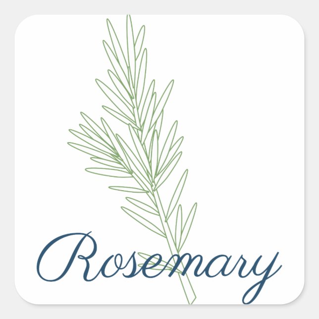 Rosemary Pflanze Quadratischer Aufkleber (Vorderseite)
