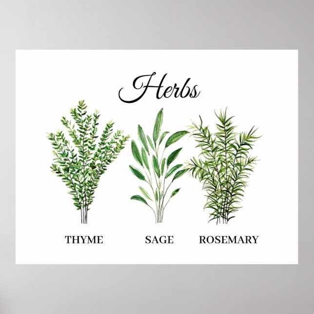 Rosemary Thyme Sage Herbs Küche Koch Poster (Vorne)