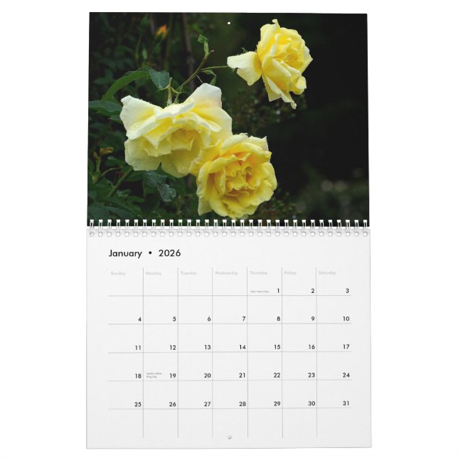 ROSEN 2013 Wand Callendar Kalender (Jan 2026)