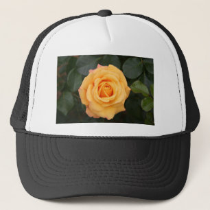 Rosen blühen Blumen Liebe Ehefrau Schatz Paar Truckerkappe
