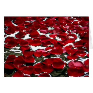 ROSEN-BLUMENBLÄTTER AUF DEM WASSER