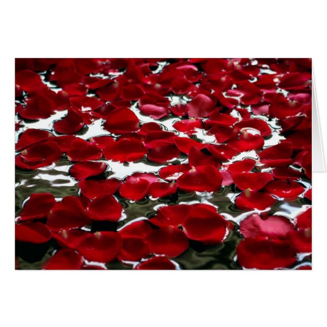 ROSEN-BLUMENBLÄTTER AUF DEM WASSER (Vorderseite (Horizontal))