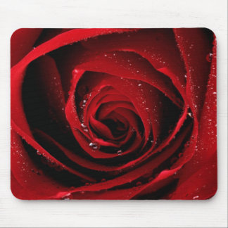 Rosen-BlumenBlumen-Rosen-Blumenblatt-Blüten-Tau Mousepad